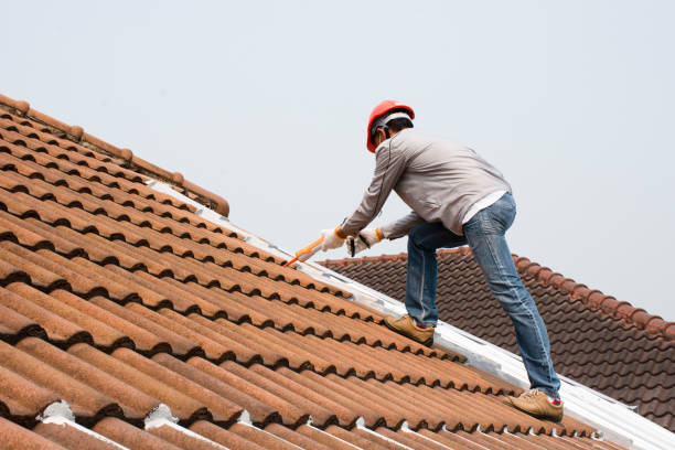 Best Chimney Flashing Repair  in Odessa, MO