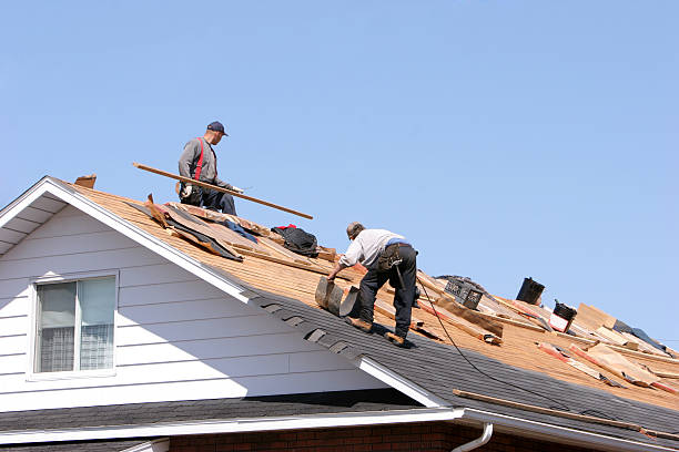 Best Skylight Installation and Repair  in Odessa, MO